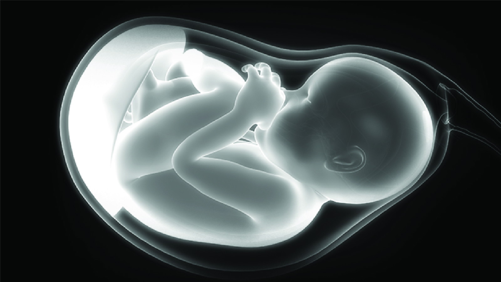 Abortion—Is It Really a Women’s Issue?