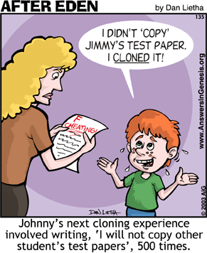 Cloning experience