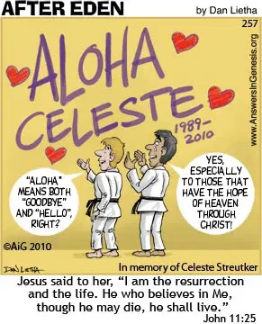 Aloha Celeste