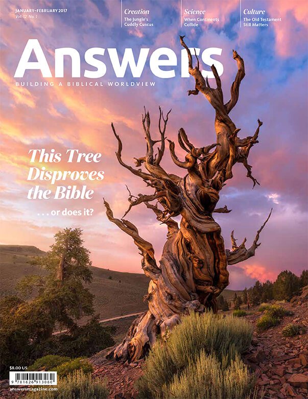 Answers Magazine