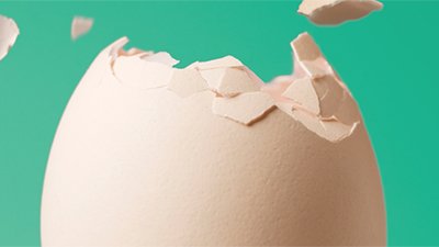 Cracking the Eggshell’s Secret
