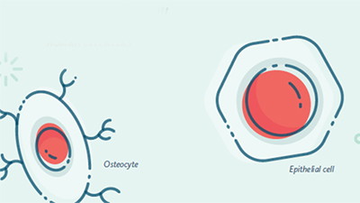 There’s a Map for That—Human Cell Atlas