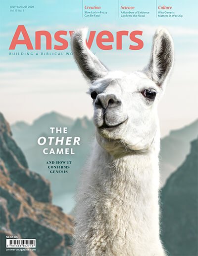 Answers magazine