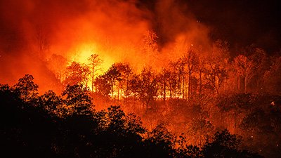 Wildfires: Cause for Alarm?