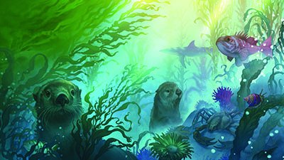 Kelp Forests—The Essentials of an Ecosystem