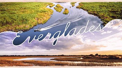 Everglades: An Ever-Changing Environment