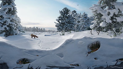 Sanctuary in the Snow