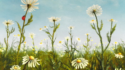 Worries and Wildflowers