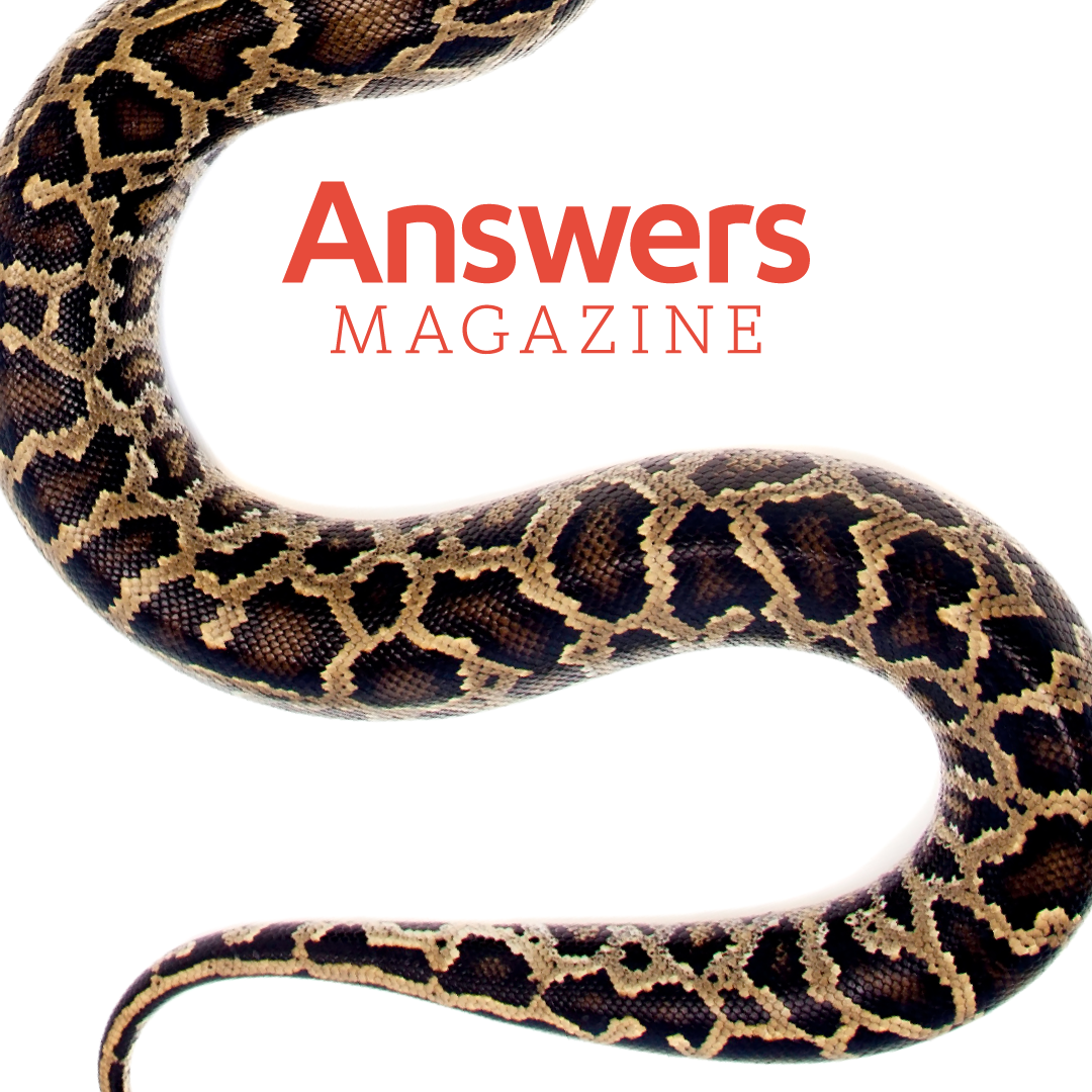 October–December 2025