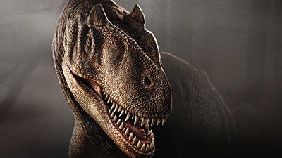 Allosaurus—A Creationist’s Best Friend