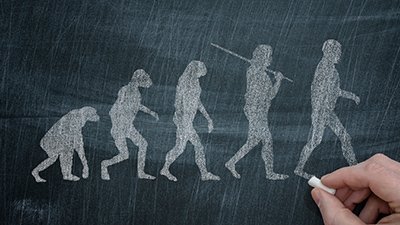 Did Humans Really Evolve from Apelike Creatures?