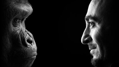 Las sorprendentes similitudes entre la creación y la evolución