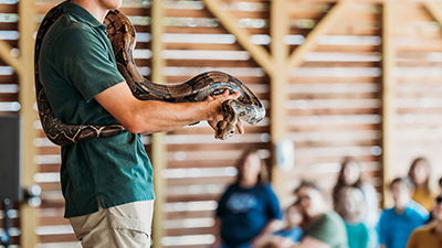 Don’t Miss Animal Encounters During Your Ark Encounter or Creation Museum Visit