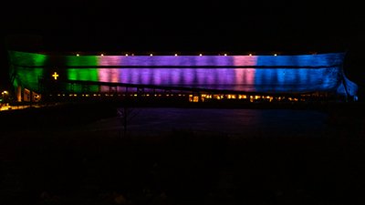 Lighting Up the Ark for Rare Disease Day 2021