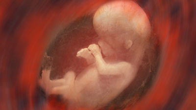 Artificial Mouse Wombs—a Great Good or a Great Evil?