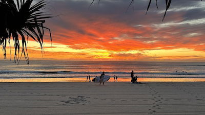 Beach Sunrises, Bush Turkeys, and a Kookaburra—Where Am I?