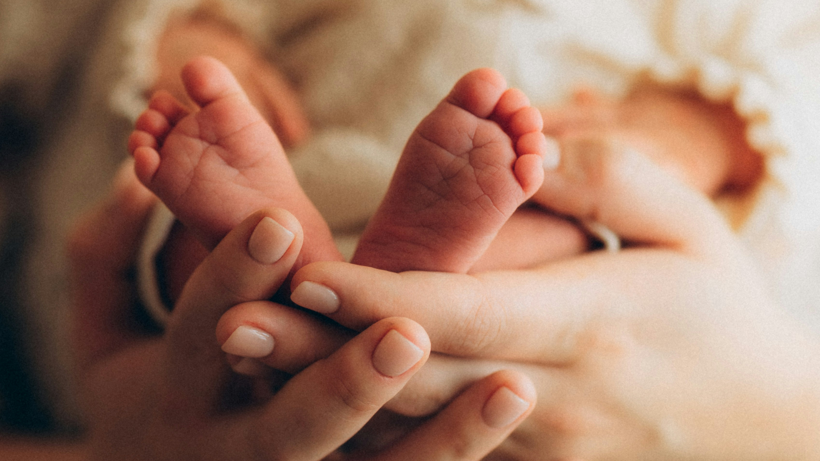 Are Children Just a Commodity?