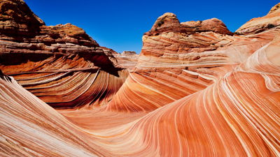 The History of the Development of the Geological Column