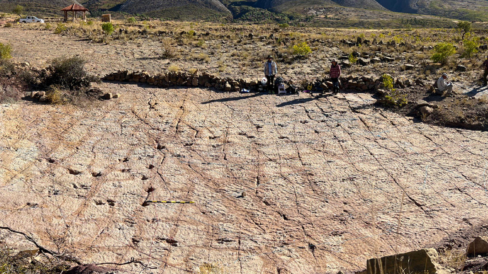 Dino Trackway in Bolivia