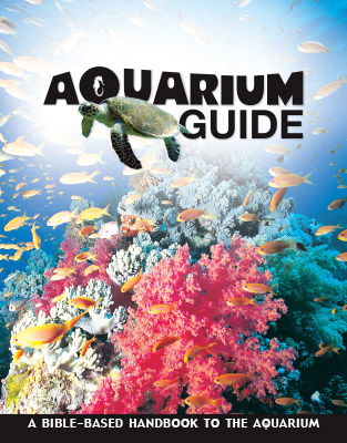 Aquarium Guide