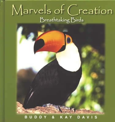 Marvels of Creation: Breathtaking Birds