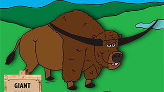 Giant Bison