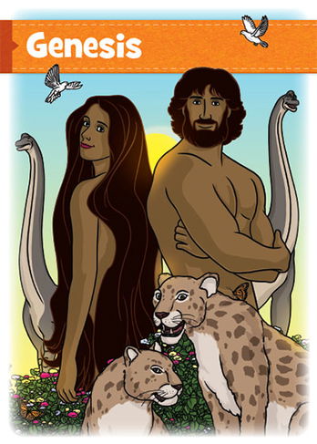 Books of the Bible Flash Cards