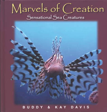 Marvels of Creation: Sensational Sea Creatures