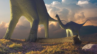 Were All Dinosaurs Big?