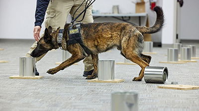 Canine Conference Coming to the Ark Encounter, January 6–9, 2024