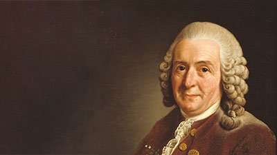 Carl Linnaeus: Organizer of Organisms