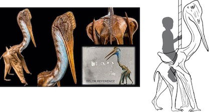 Get a Sneak Peek at the Unique Carousel Coming to the Ark Encounter