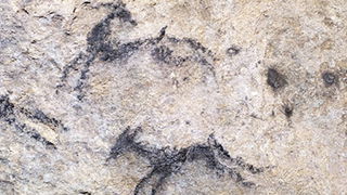Prehistoric?