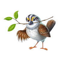 Flutter the Sparrow