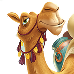 Jamal the Camel