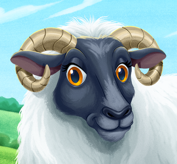 Mia the Connemara Sheep