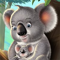 Paula the Koala
