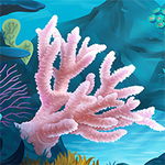 Shimmer the Coral