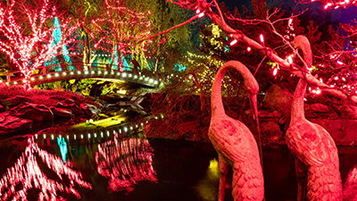 Only Four More Nights Left to Enjoy ChristmasTime and ChristmasTown