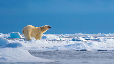 Climate Warnings—Are They “Over the Top”?