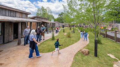 Wallaby Walkabout Open for Creation Museum’s 18th Anniversary