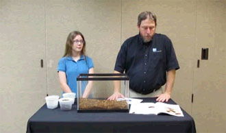 Cockroach Experiment