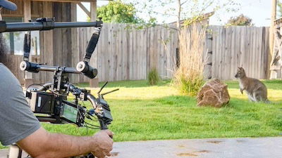 Behind the Scenes: Filming a Commercial at the Creation Museum