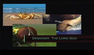 Common Designer