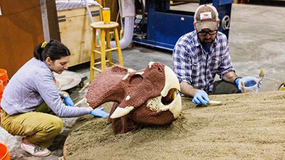 New Dinosaur Exhibit Coming to the Creation Museum