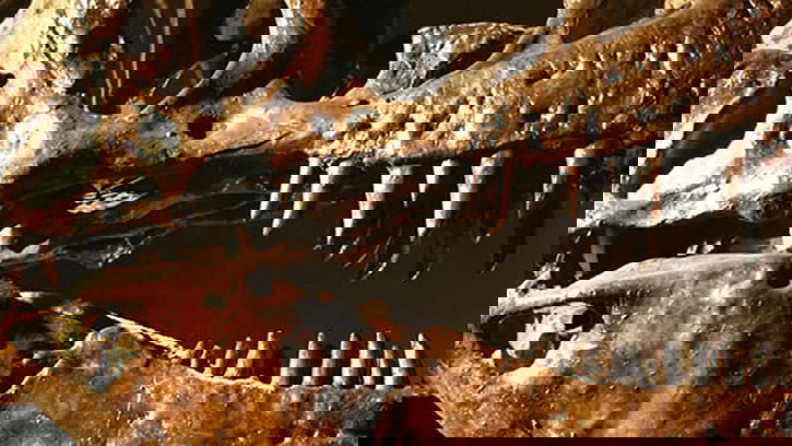 Did I Find a Dinosaur Bone?