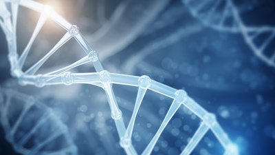 The Best-Kept Secrets of DNA