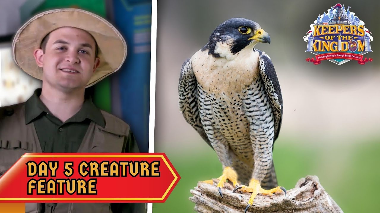 The Peregrine Falcon! | Keepers of the Kingdom VBS: Day 5 Creature Feature