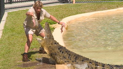 “Crocodile Hunter” Dies