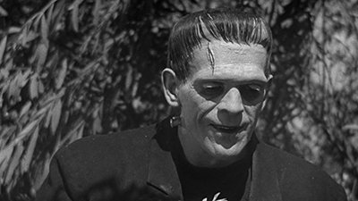 Frankenstein’s Monster As a “Transsexual Icon”?